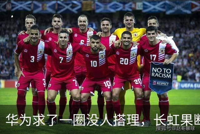 华为求了一圈没人搭理，长虹果断接盘